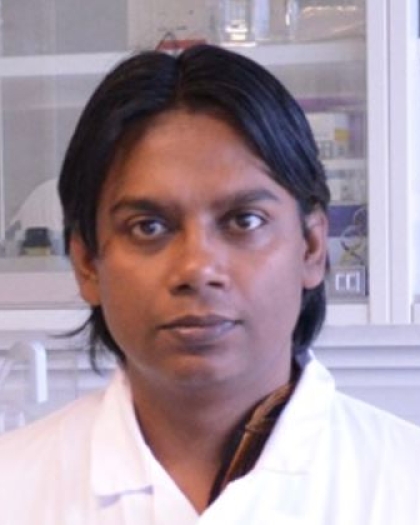 Mohummad Aminur Rahman